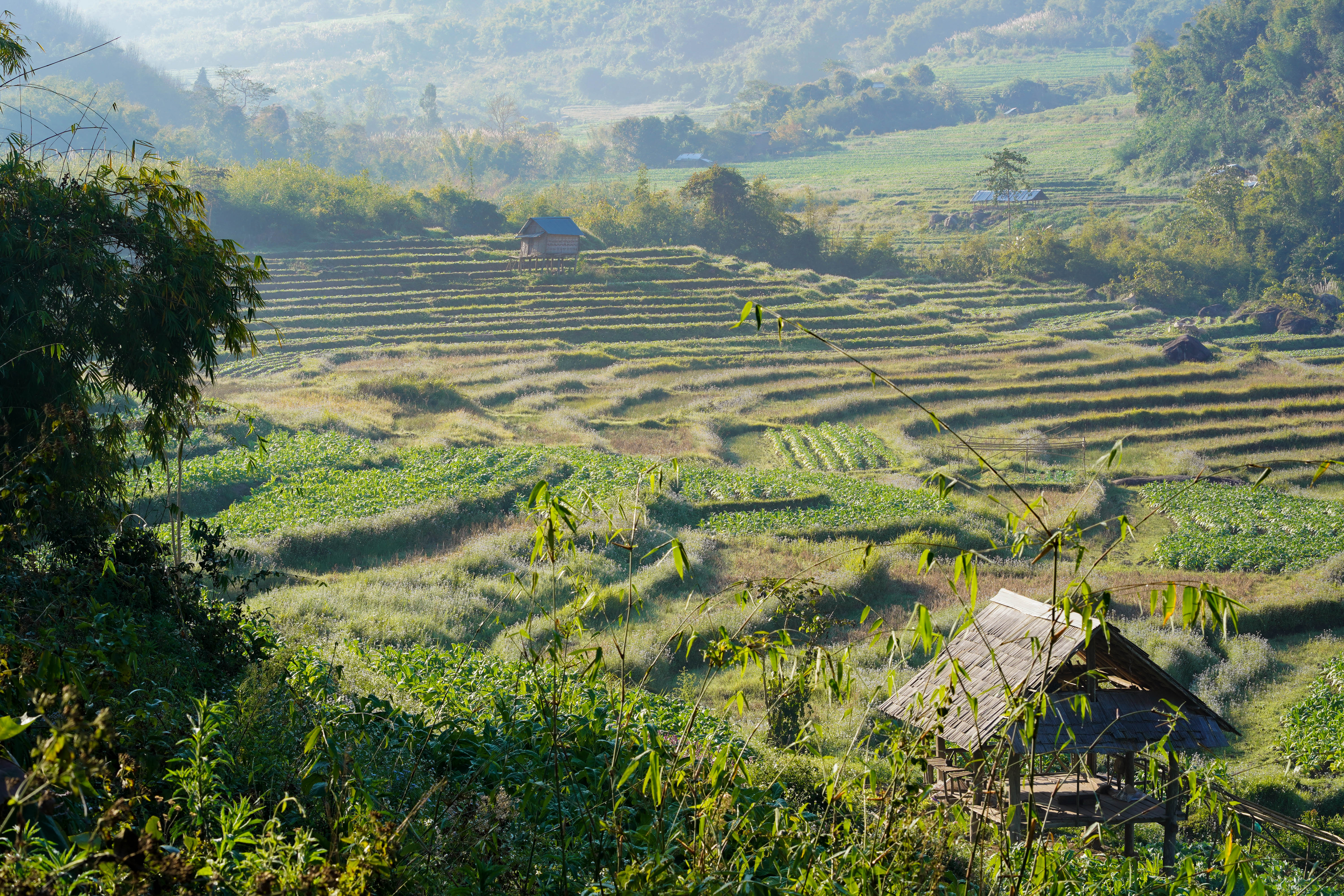 Laos